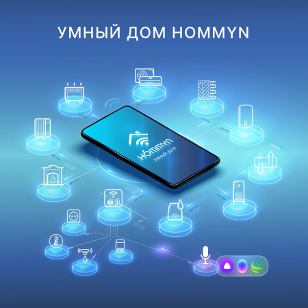 Розетка умная HOMMYN Smart Plug RKNZ01